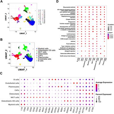 Identification of therapeutic targets for osteosarcoma by integrating single-cell RNA sequencing and network pharmacology